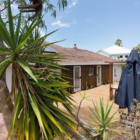 Dingo At White Gum Lodge Fremantle Exteriör bild